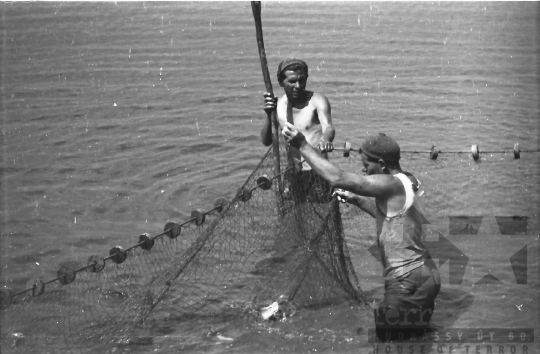 THM-BJ-01528 - Fornád, South Hungary, 1966