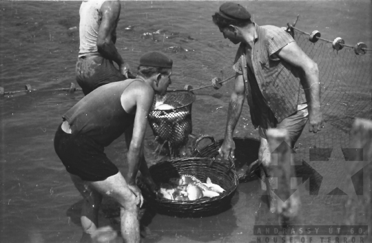 THM-BJ-01530 - Fornád, South Hungary, 1966