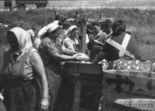 THM-BJ-01531 - Fornád, South Hungary, 1966