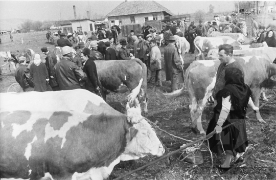 THM-BJ-01715 - Szekszárd, South Hungary, 1967