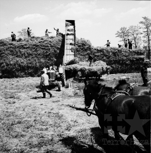 THM-BJ-01743 - Tolna county, South Hungary, Hungary, 1968