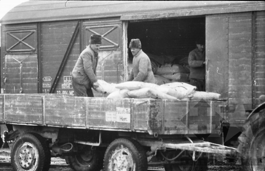 THM-BJ-01863 - Szekszárd, South Hungary, 1969