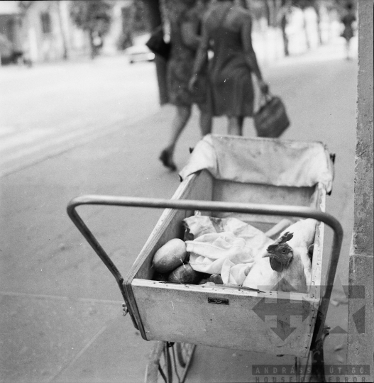 THM-BJ-01885 - Szekszárd, South Hungary, 1976