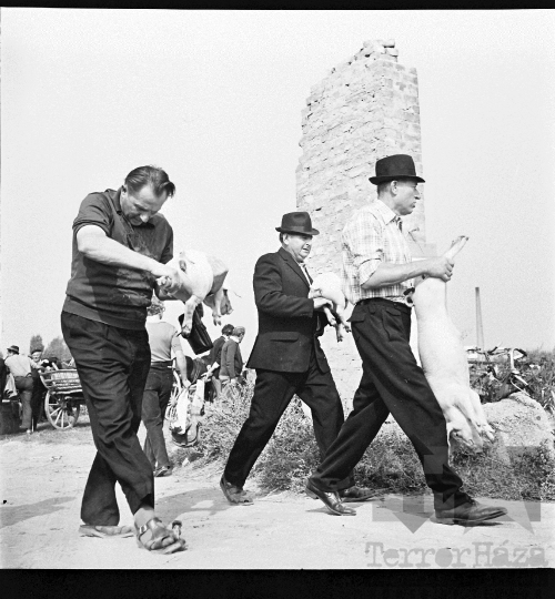 THM-BJ-01886 - Szekszárd, South Hungary, 1977