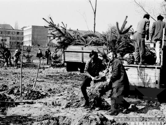 THM-BJ-01931 - Bonyhád, South Hungary, 1977