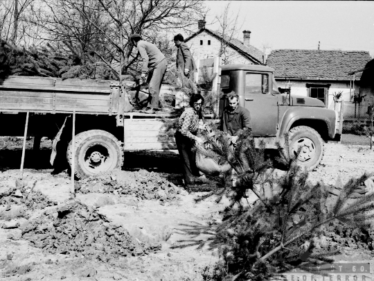 THM-BJ-01933 - Bonyhád, South Hungary, 1977