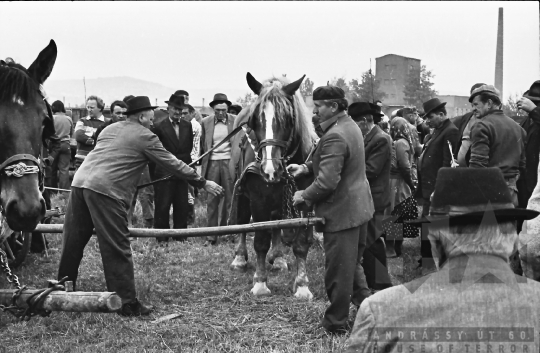 THM-BJ-01947 - Szekszárd, South Hungary, 1977