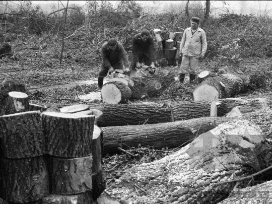 THM-BJ-01956 - Báta, South Hungary, 1978