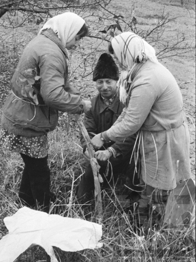 THM-BJ-01962 - Báta, South Hungary, 1978