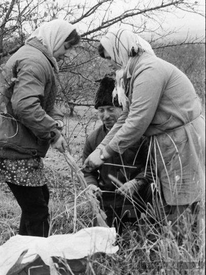 THM-BJ-01963 - Báta, South Hungary, 1978