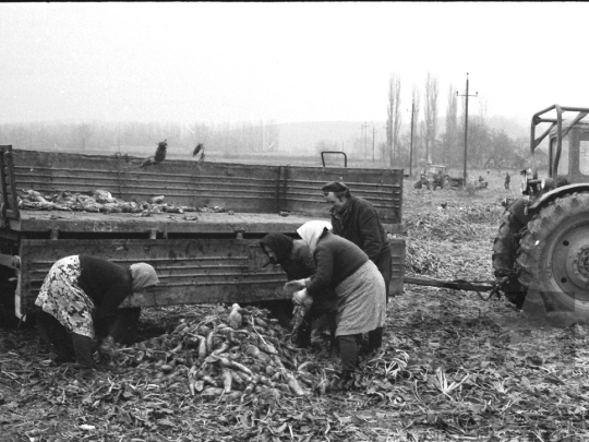 THM-BJ-02021 - Báta, South Hungary, 1978