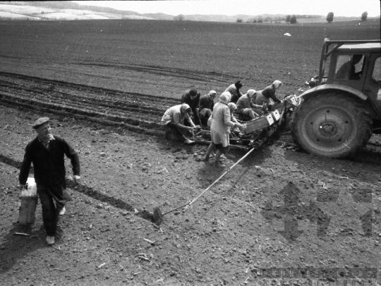 THM-BJ-02157 - Szekszárd, South Hungary, 1980 