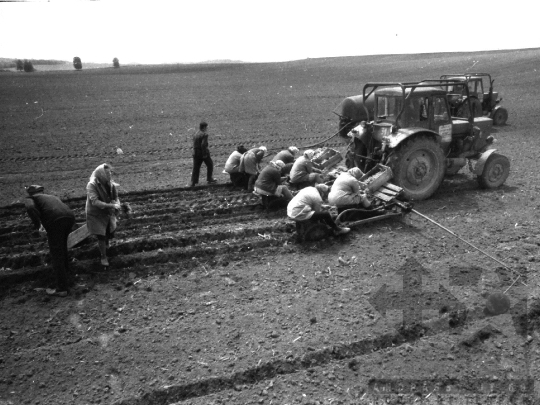 THM-BJ-02158 - Szekszárd, South Hungary, 1980 