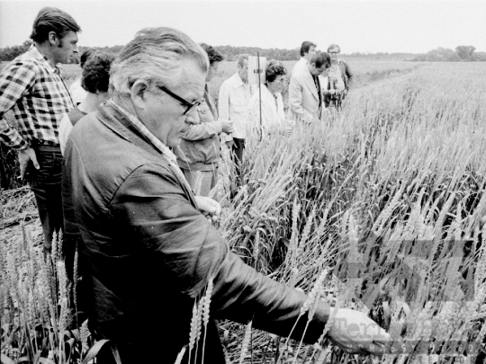 THM-BJ-02163 - Tamási, South Hungary, 1981