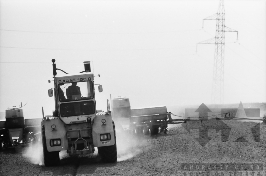 THM-BJ-02167 - Tamási, South Hungary, 1981 