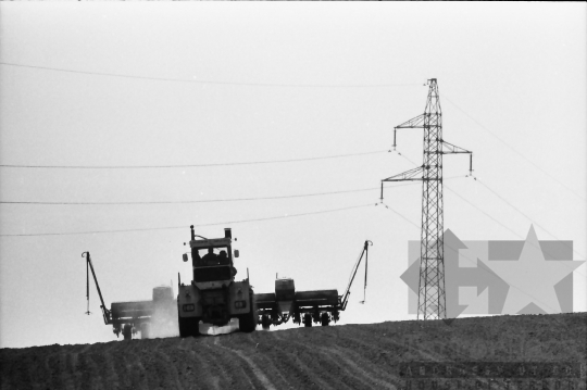 THM-BJ-02168 - Tamási, South Hungary, 1981 