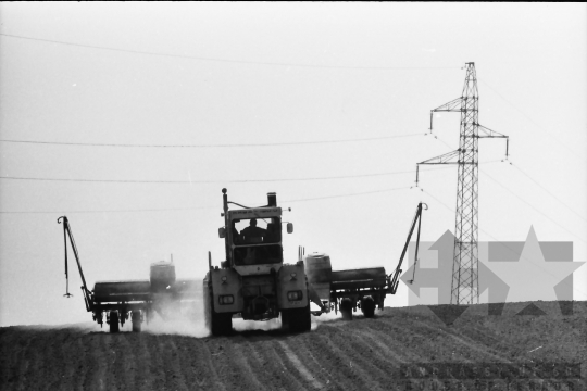 THM-BJ-02169 - Tamási, South Hungary, 1981 