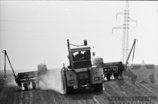 THM-BJ-02170 - Tamási, South Hungary, 1981 