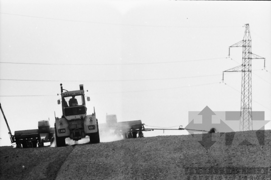 THM-BJ-02171 - Tamási, South Hungary, 1981 