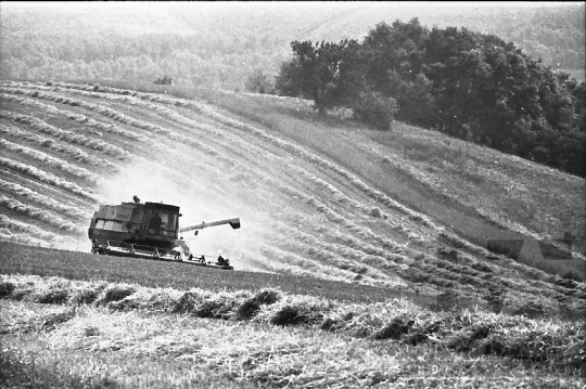 THM-BJ-02198 - Mórágy, South Hungary, 1983