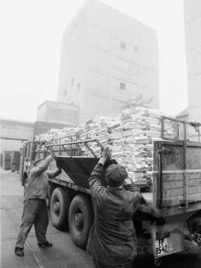 THM-BJ-02216 - Dalmand, South Hungary, 1983