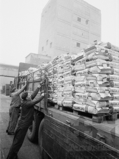 THM-BJ-02217 - Dalmand, South Hungary, 1983