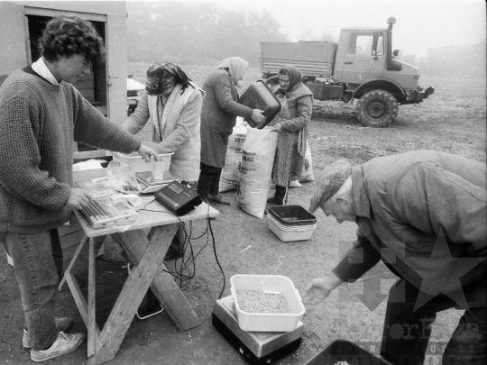 THM-BJ-02228 - Dalmand, South Hungary, 1983