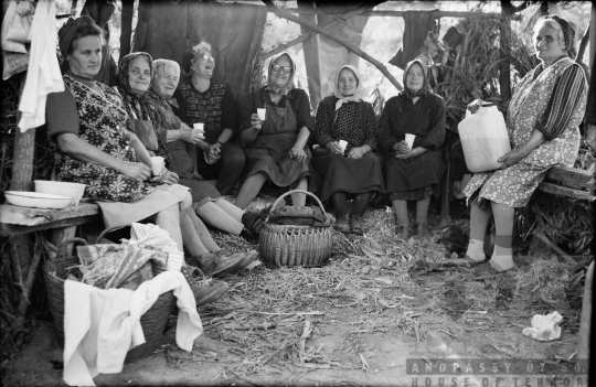 THM-BJ-02318 - Szekszárd, South Hungary, 1977