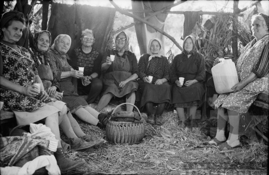 THM-BJ-02318a - Szekszárd, South Hungary, 1977