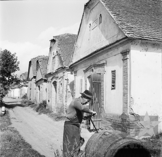 THM-BJ-02350 - Szekszárd, South Hungary, 1962