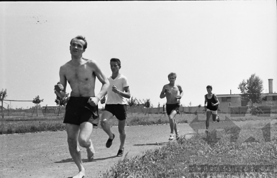 THM-BJ-02409 - Szekszárd, South Hungary, 1962