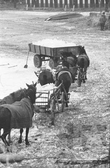 THM-BJ-02419 - Szekszárd, South Hungary, 1962