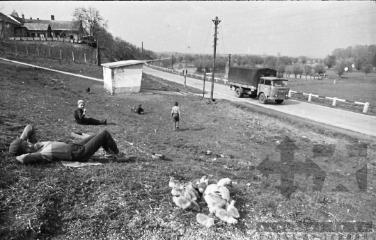 THM-BJ-02426 - Dunakömlőd, South Hungary, 1962 