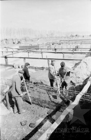 THM-BJ-02489 - Bátaszék, South Hungary, 1965