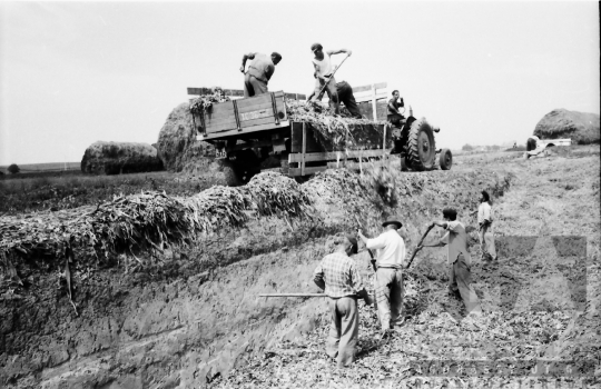 THM-BJ-02524 - Mözs, South Hungary, 1965 