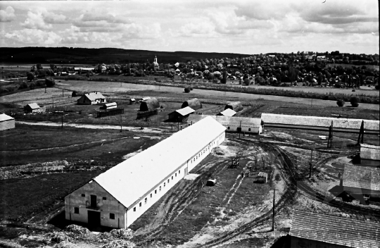 THM-BJ-02539 - Nagykónyi, South Hungary, 1965 