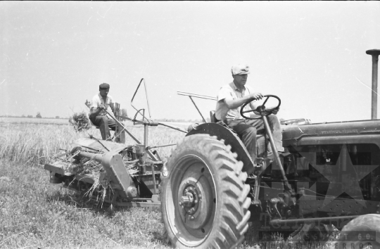 THM-BJ-02570 - Dunaszentgyörgy, South Hungary, 1965