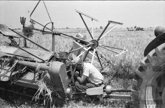 THM-BJ-02571 - Dunaszentgyörgy, South Hungary, 1965