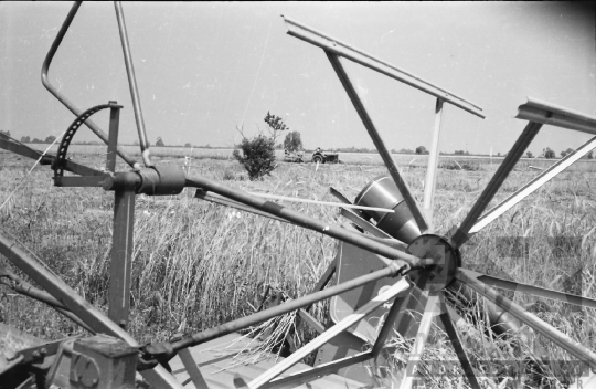 THM-BJ-02572 - Dunaszentgyörgy, South Hungary, 1965