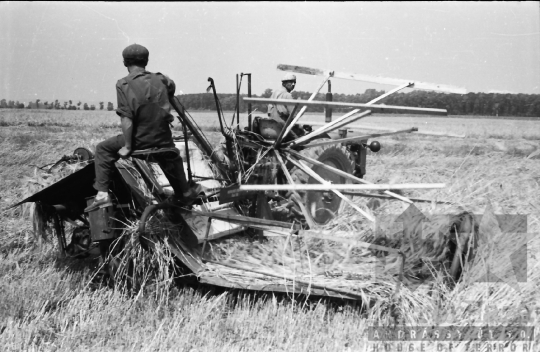 THM-BJ-02573 - Dunaszentgyörgy, South Hungary, 1965