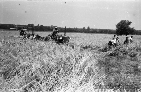 THM-BJ-02574 - Dunaszentgyörgy, South Hungary, 1965