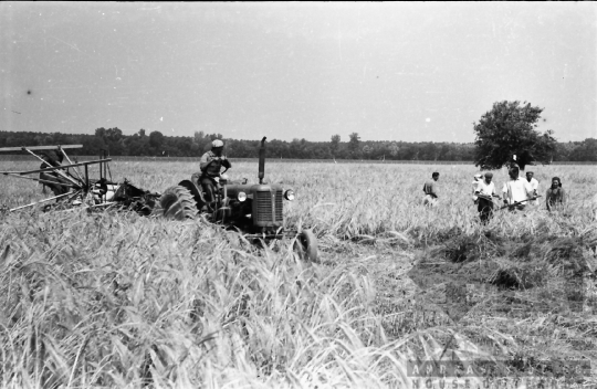 THM-BJ-02574a - Dunaszentgyörgy, South Hungary, 1965