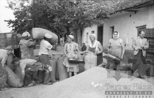 THM-BJ-02576 - Dunaszentgyörgy, South Hungary, 1965