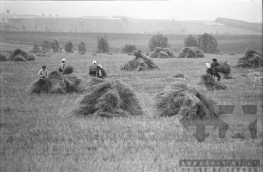 THM-BJ-02584 - Tamási, South Hungary, 1965