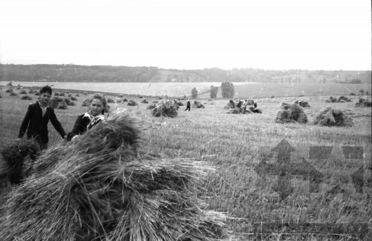 THM-BJ-02586 - Tamási, South Hungary, 1965