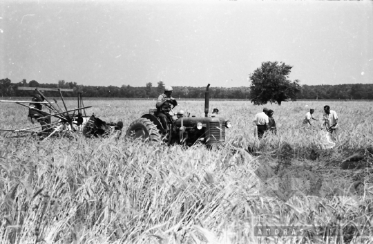 THM-BJ-02587 - Dunaszentgyörgy, South Hungary, 1965