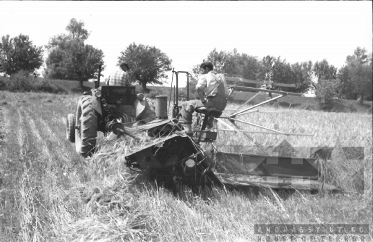 THM-BJ-02588 - Dunaszentgyörgy, South Hungary, 1965