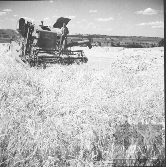 THM-BJ-02610 - Kurd, South Hungary, 1966 