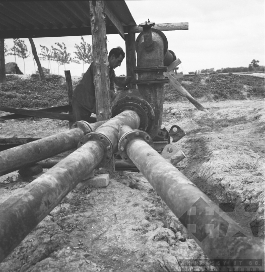 THM-BJ-02619 - Madocsa, South Hungary, 1966