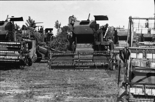 THM-BJ-02703 - Várdomb, South Hungary, 1967